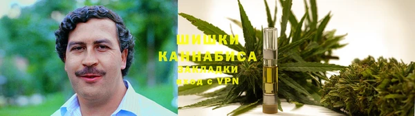 СК Арсеньев