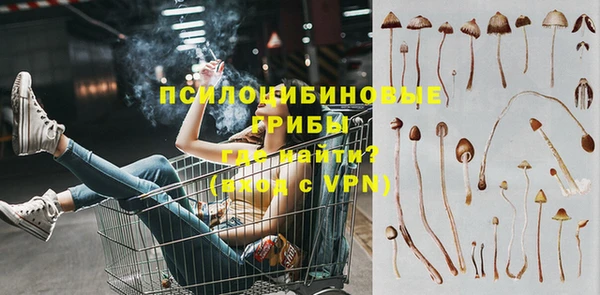 Альфа ПВП Нея