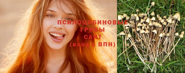 прущая мука Богородск