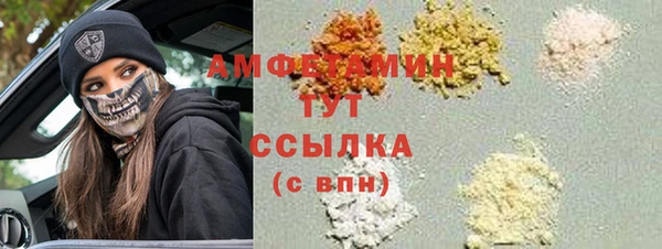 хмурый Аркадак